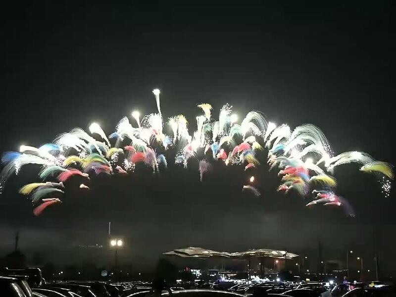 瀏陽市金龍花炮廠